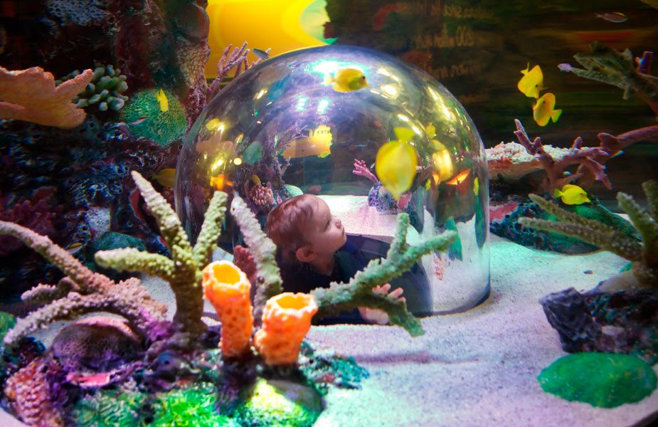 SEA LIFE Kansas City, Kansas, USA